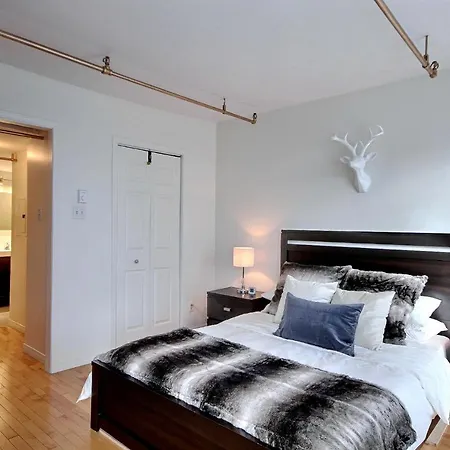 Lion'S Den // Spacious 1500 Sqft Quebec City Exterior photo